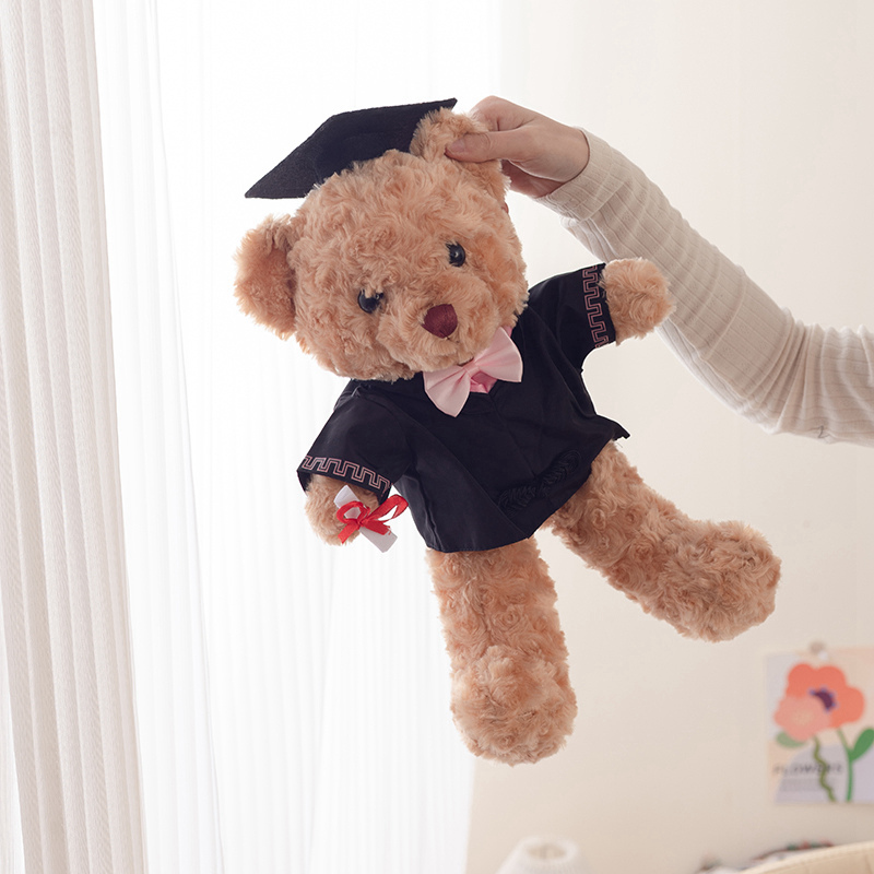Graduation Bear Teddy Bear Doctor Bear Plush Toy
