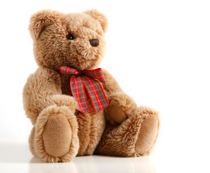 The Sense of Security for Girls Living Alone is Given by Plush Toys