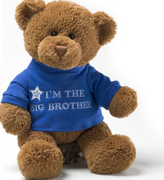 Dormitory Vibe Essential, Plush Toys Warm Lonely Moments