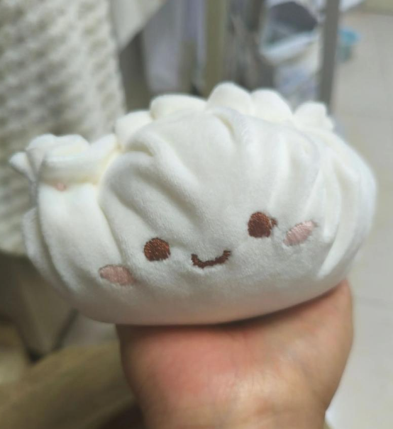 Custom plush mascots for Chinese catering businesses, including dumplings, steamed buns and other food-themed designs, tailor-made exclusively for Chinese restaurants.