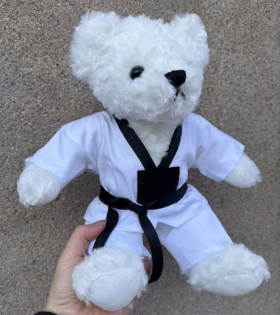 Plush Toys Customized for Taekwondo Gym Promotions
