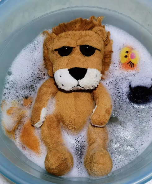 wash plush toy