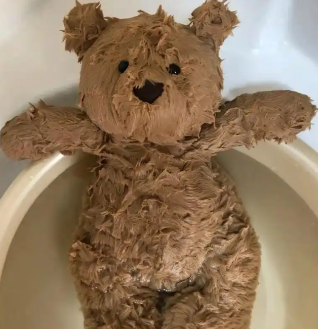 wash plush toy