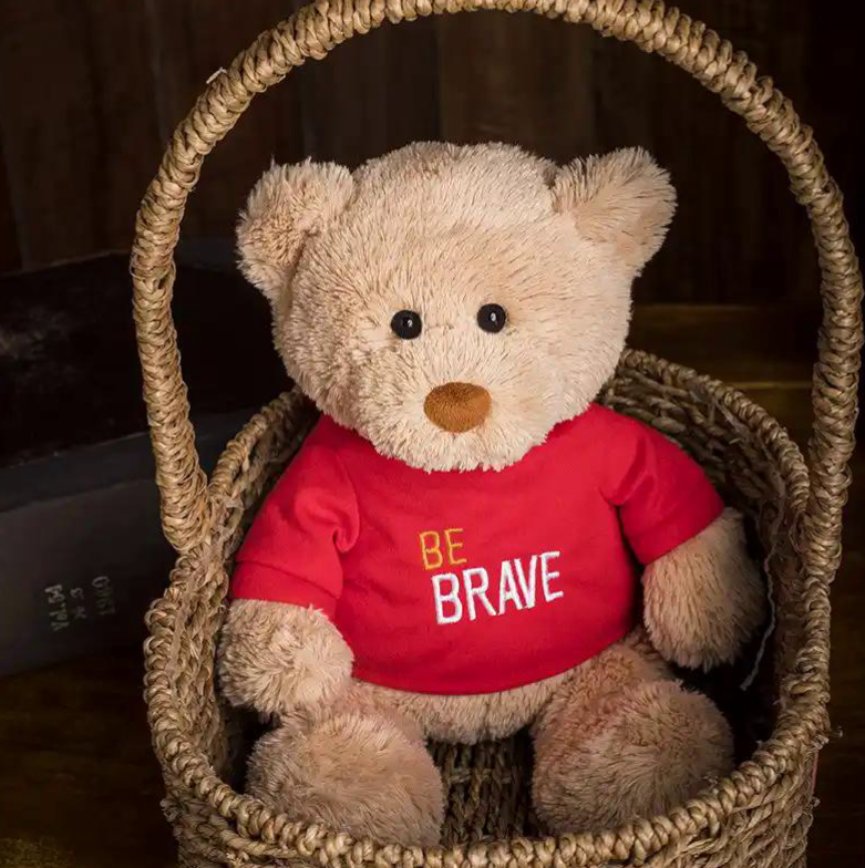 Dressed plush teddy bear