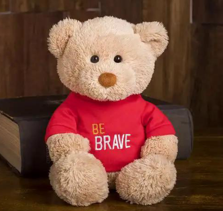 Dressed plush teddy bear