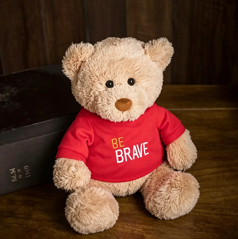 Dressed plush teddy bear -can take off