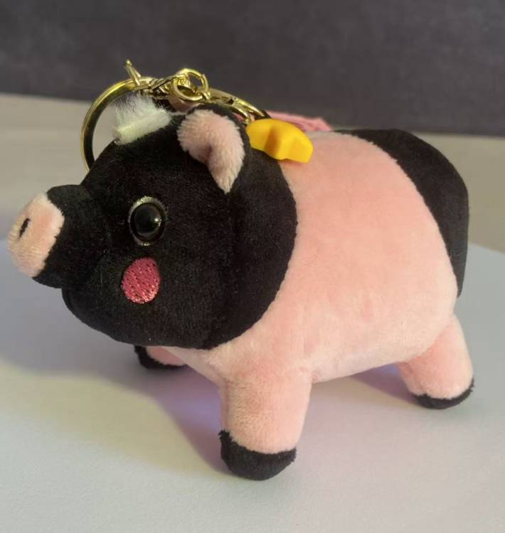 Cute Plush Toys Shaped after Bama Xiang Pig, a Geographical Indication Product